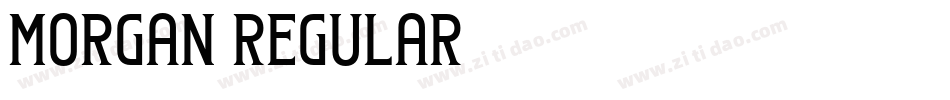 Morgan Regular字体转换